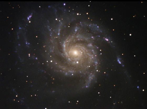 M101 M101