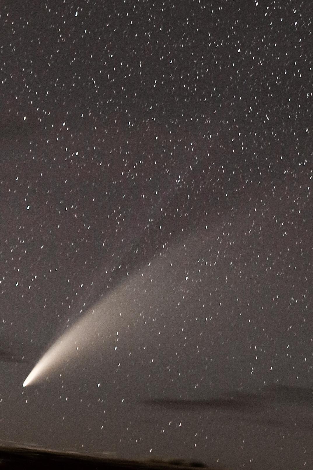 Neowise 