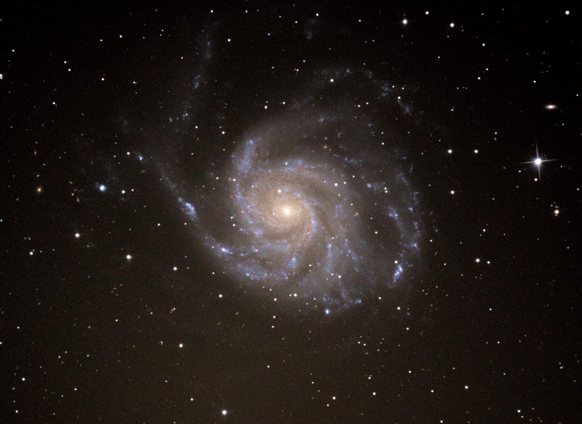 M 101