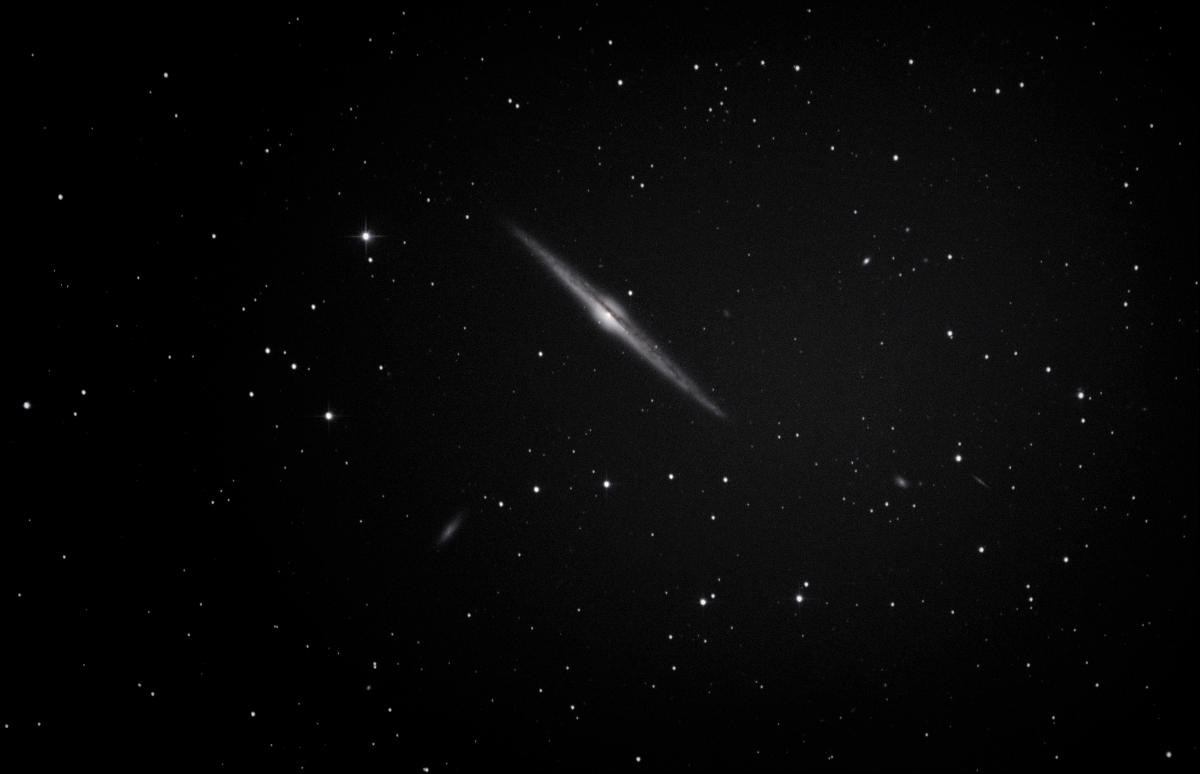 NGC 4565