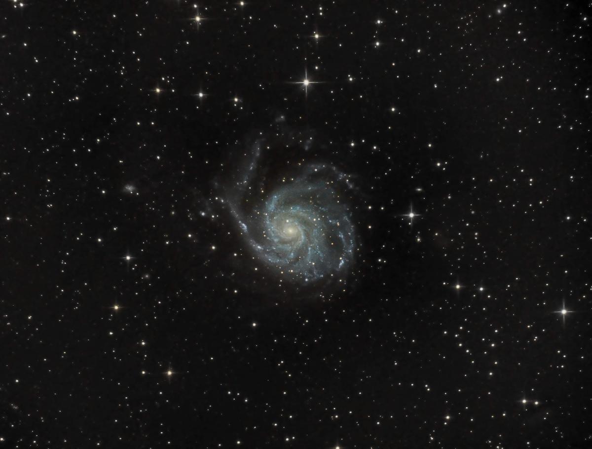 M101 La galaxie du tourbillon M101 La galaxie du tourbillon