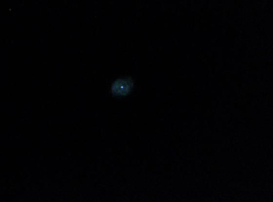 Brute_Oeil_de_Chat