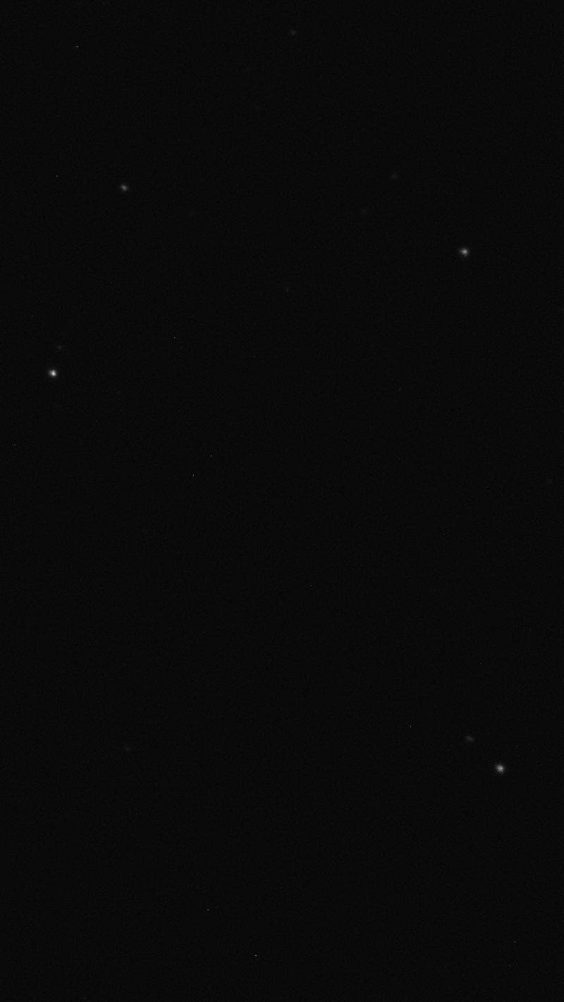 Brute-Tete cheval - 1_5 sec Brute-Tete cheval - 1_5 sec