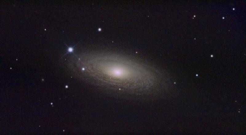 NGC 2841 - T300 - COULEUR - QHY5III 178C NGC 2841 - T300 - COULEUR - QHY5III 178C