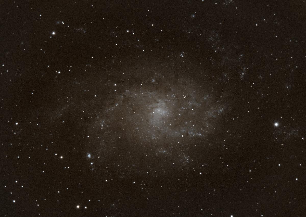 M33