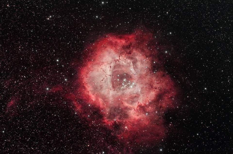 La rosette