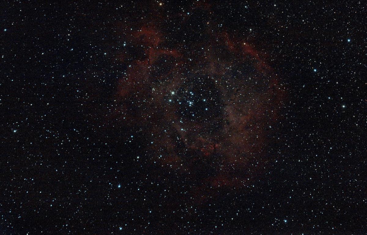 Rosette