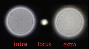 star test TS80_480_1