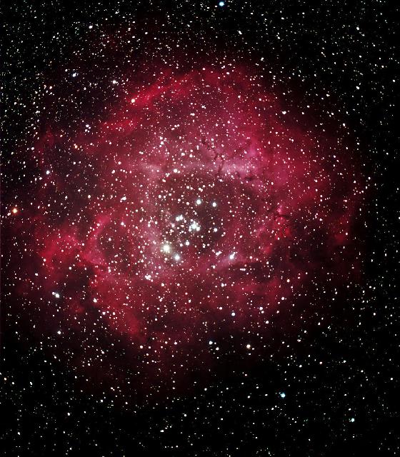 rosette
