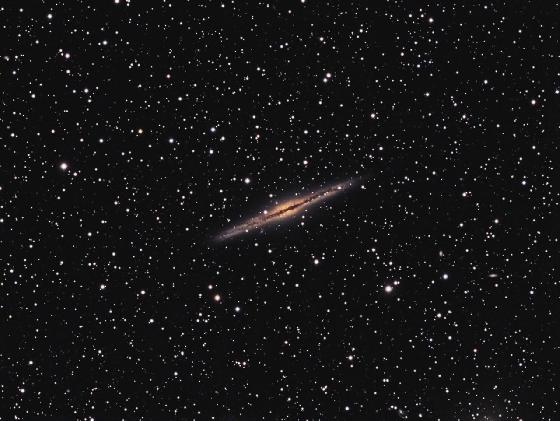 NGC891