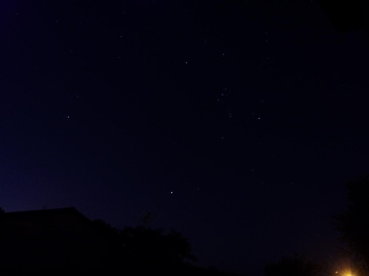 Orion Orion