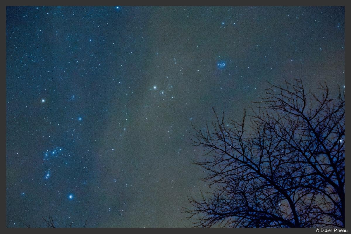 Pléiades, Hyades et Orion dans la brume Pléiades, Hyades et Orion dans la brume