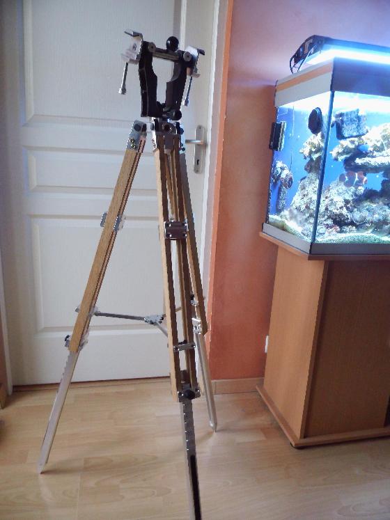 dual 1 dual 1