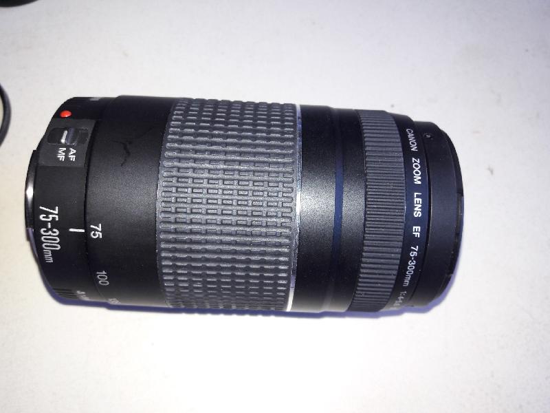 objectif Canon 75-300mm objectif Canon 75-300mm
