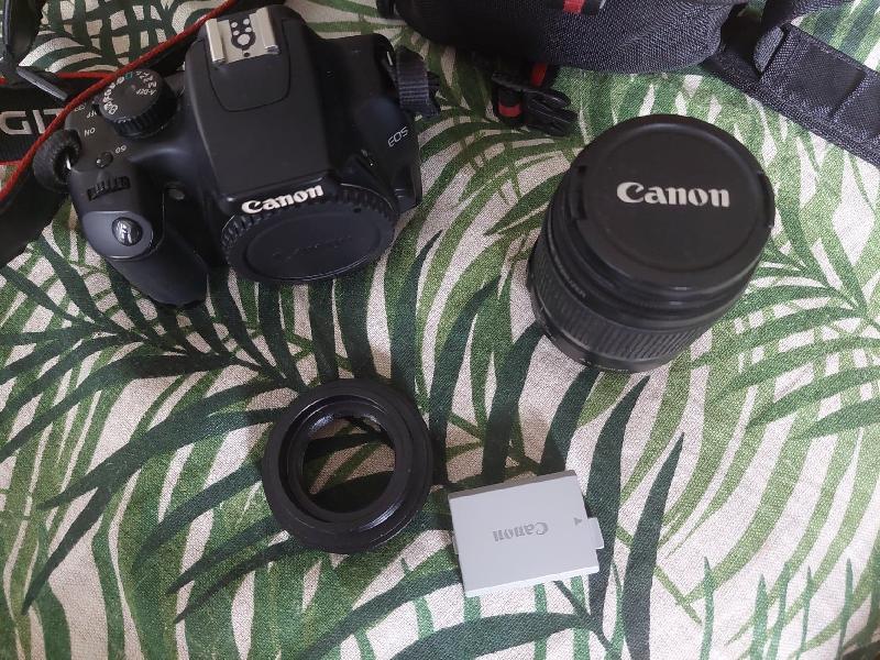 Canon EOS 1000D et accessoires Canon EOS 1000D et accessoires
