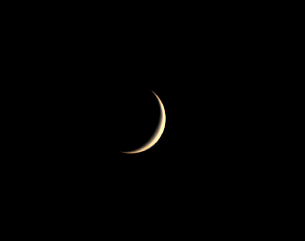 VENUS VENUS
