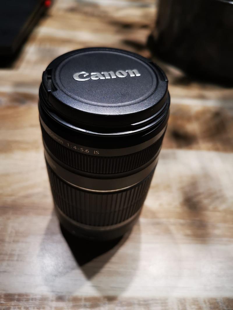 Objectif Canon EF-S 55-250mm f/4-5.6 IS Objectif Canon EF-S 55-250mm f/4-5.6 IS
