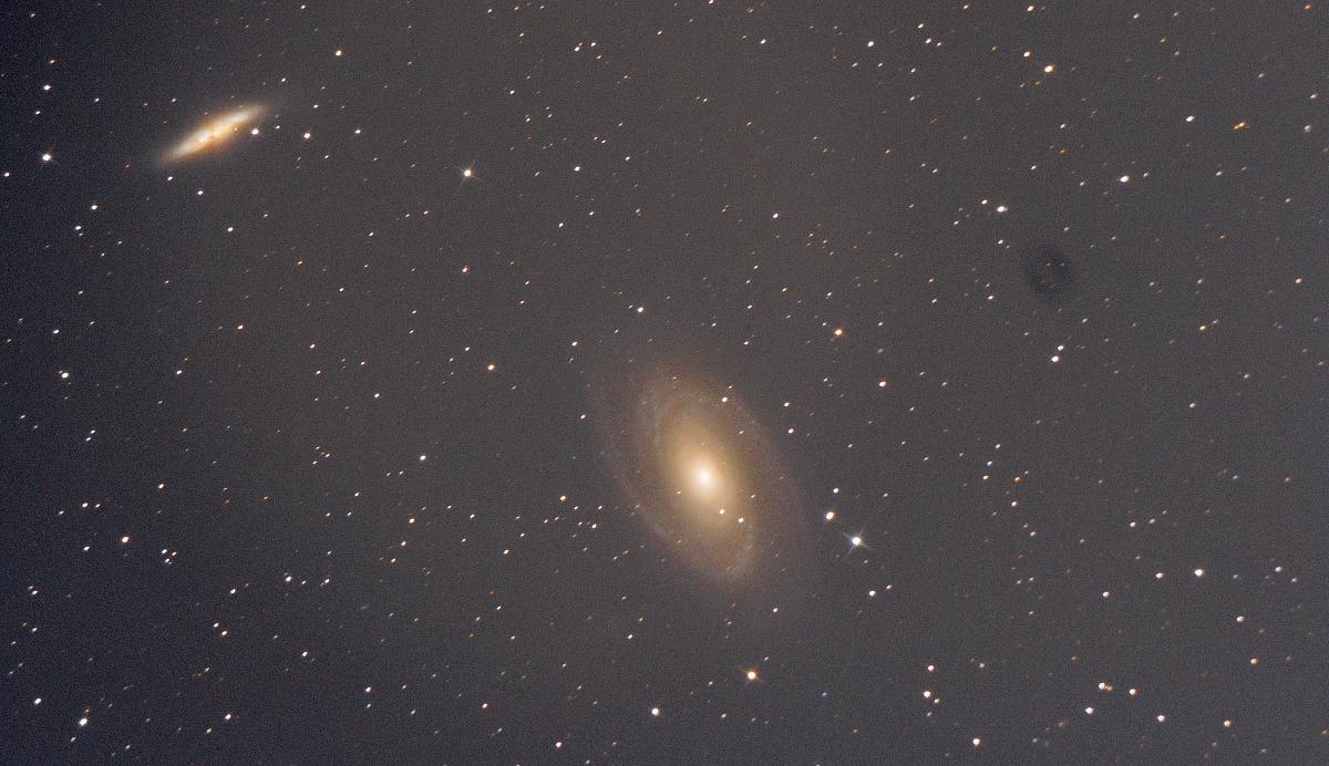 M81