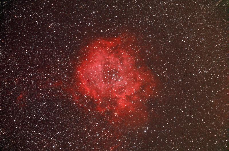 NGC 2238 Rosette