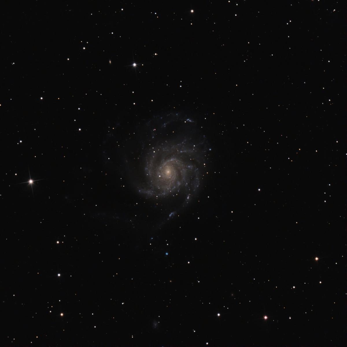M101