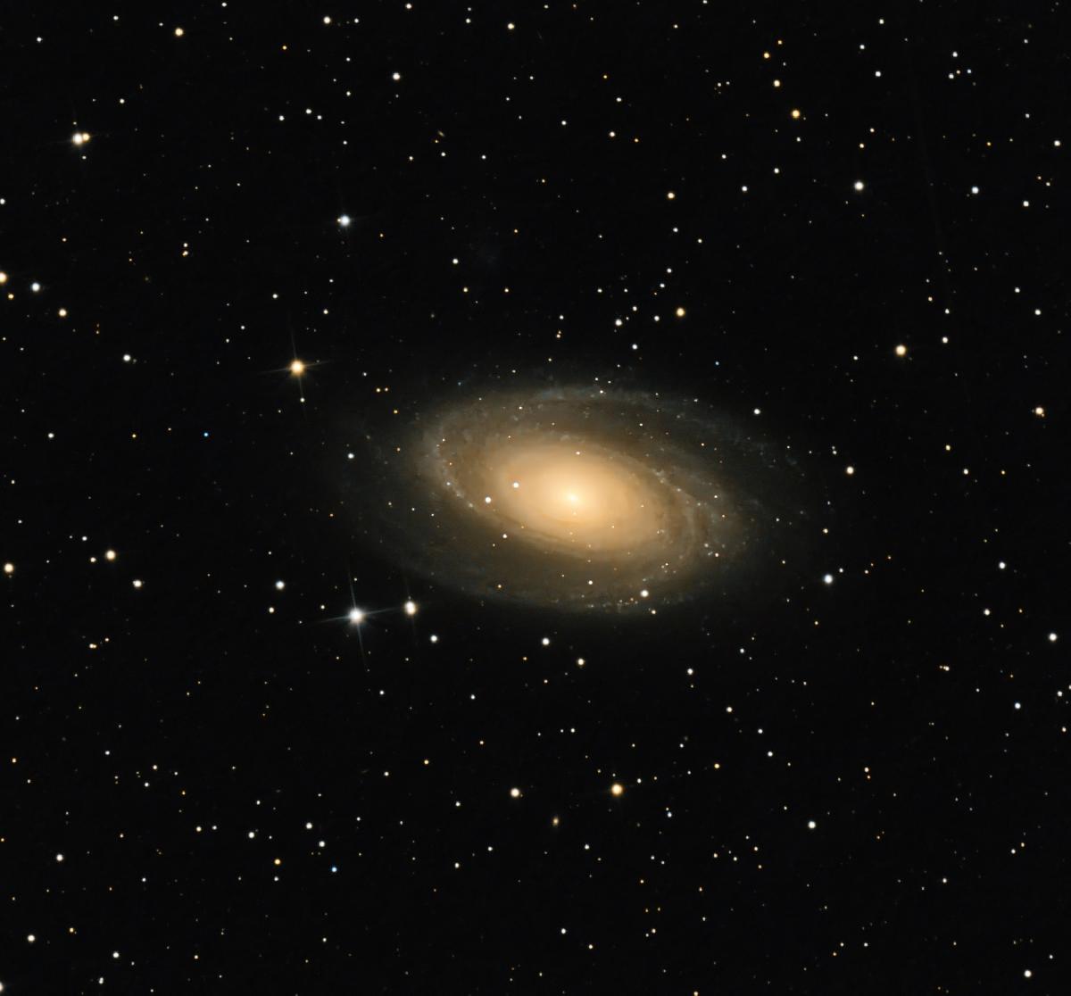M81