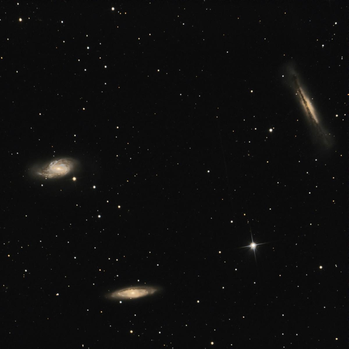 NGC3628