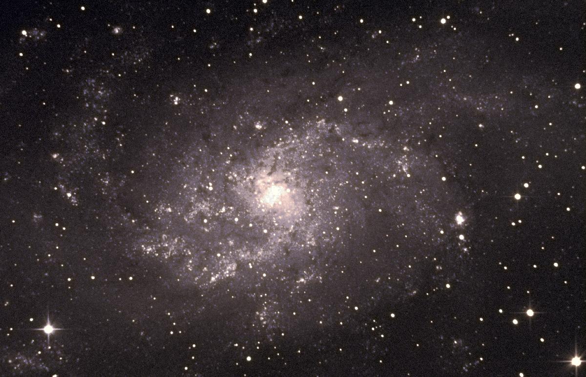 M 33