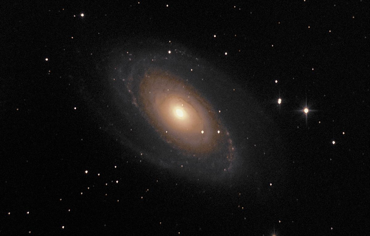 M81 M81