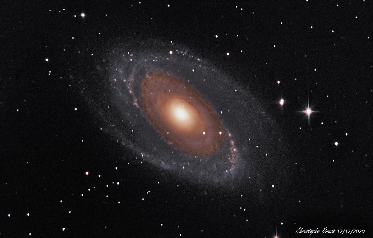 M81 bis M81 bis