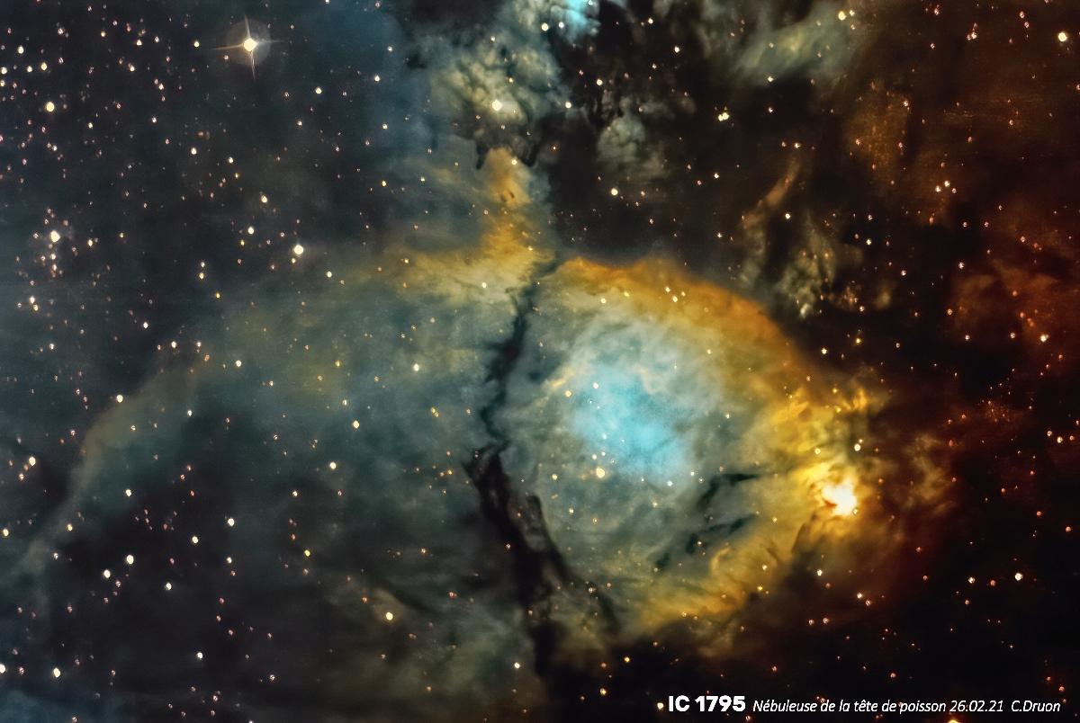 IC 1795 IC 1795
