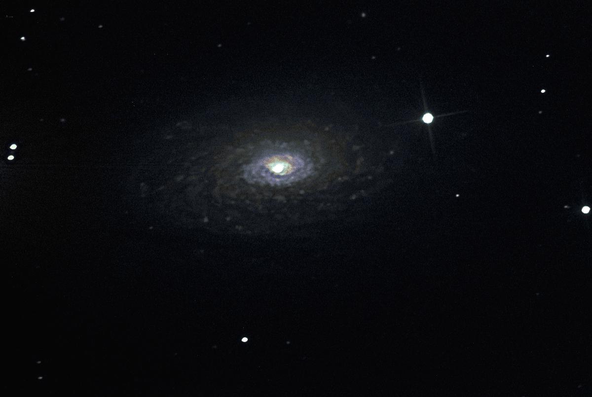 M63 M63