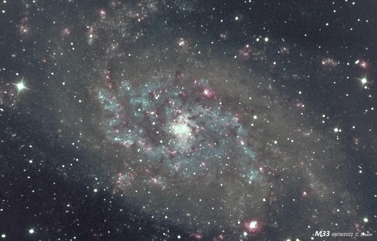 M33