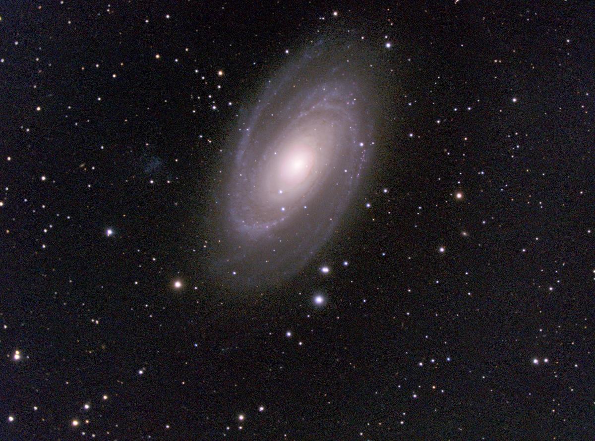M 81 M 81