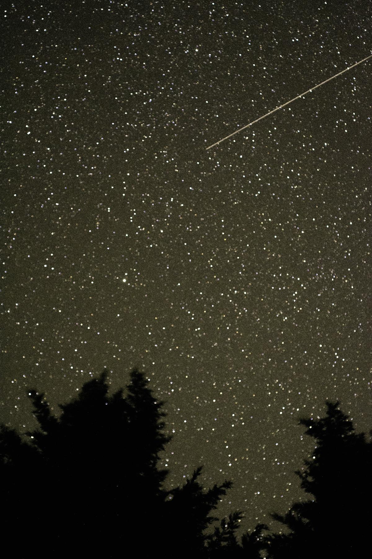 Une étoile filante vers Polaris Une étoile filante vers Polaris