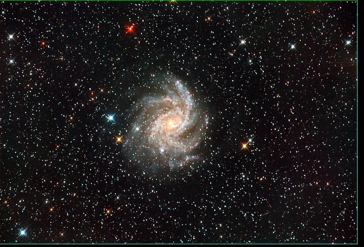 N6946