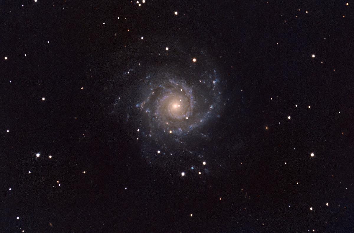 M74 M74