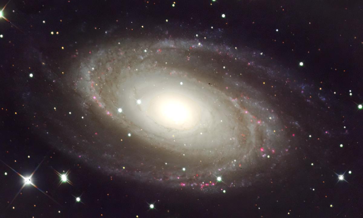 M81 M81