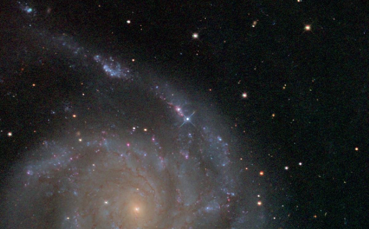 SN2023ixf SN2023ixf