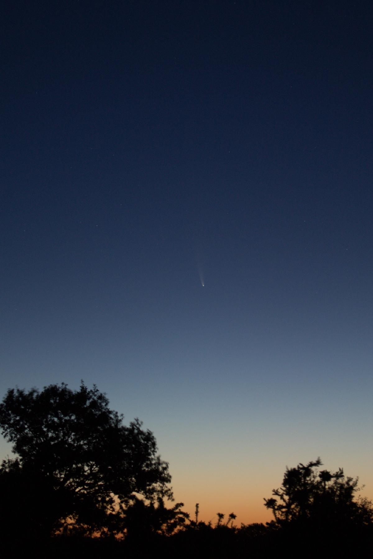 neowise neowise
