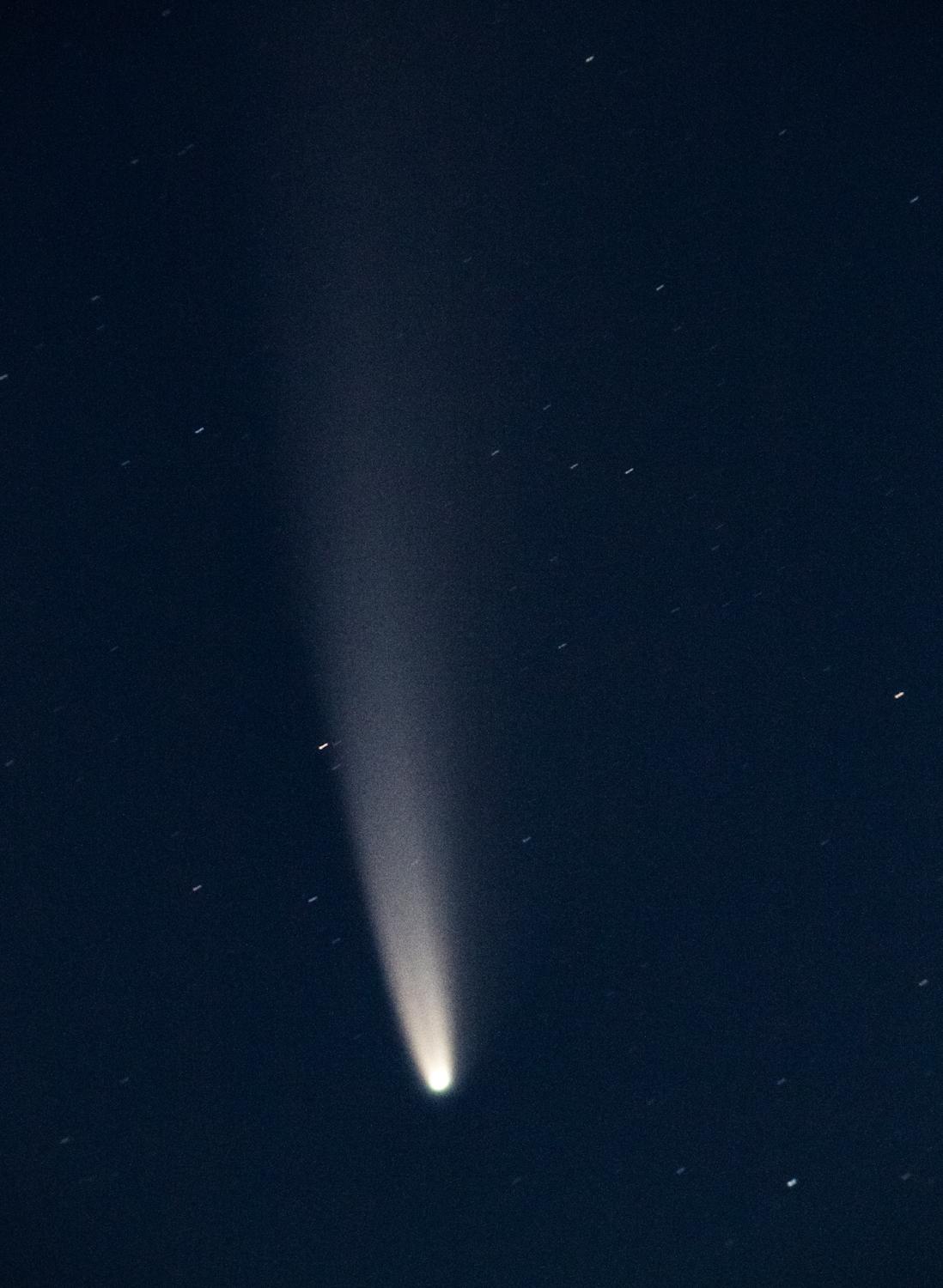 neowise neowise