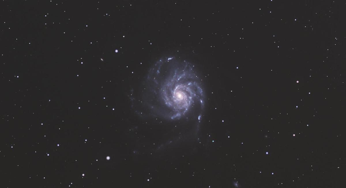 M101