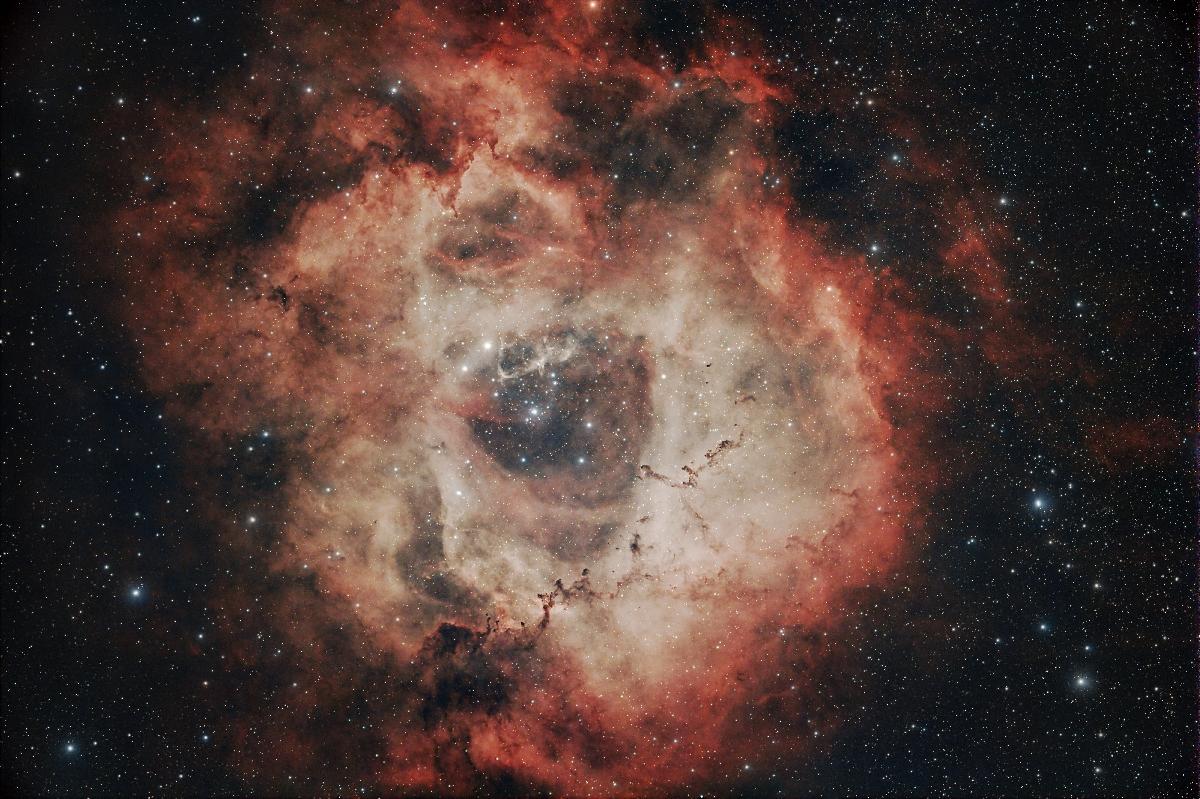 Rosette