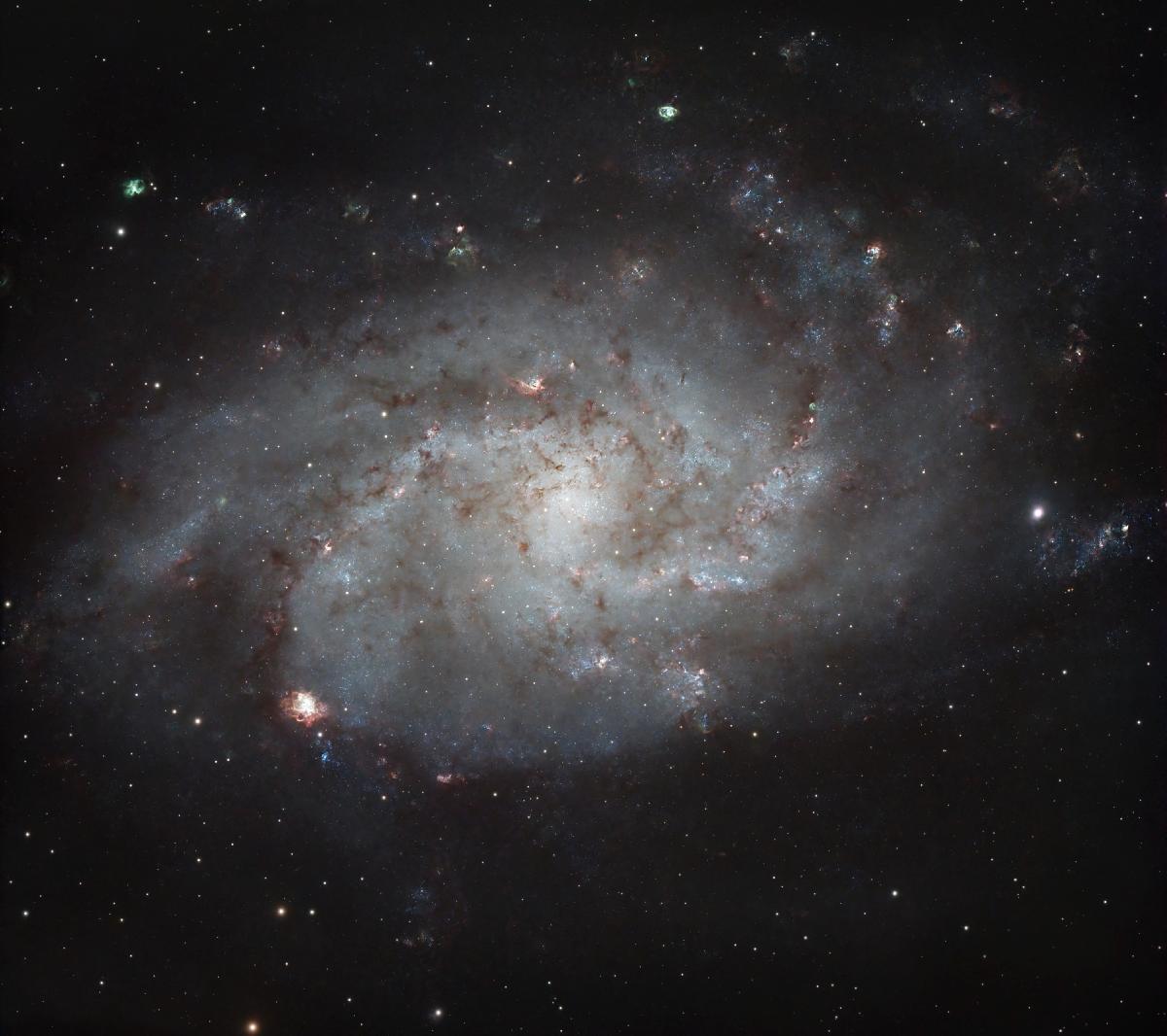 M33