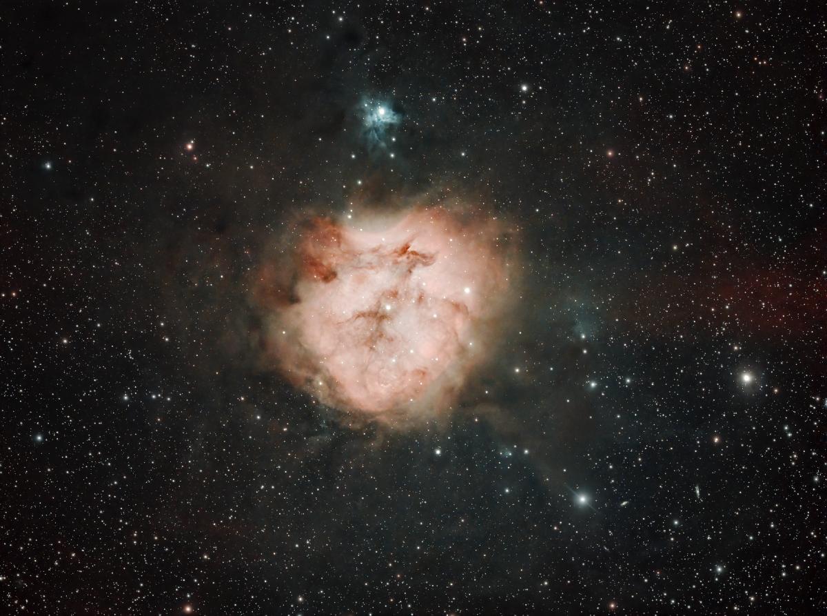 IC5146_cocoon IC5146_cocoon