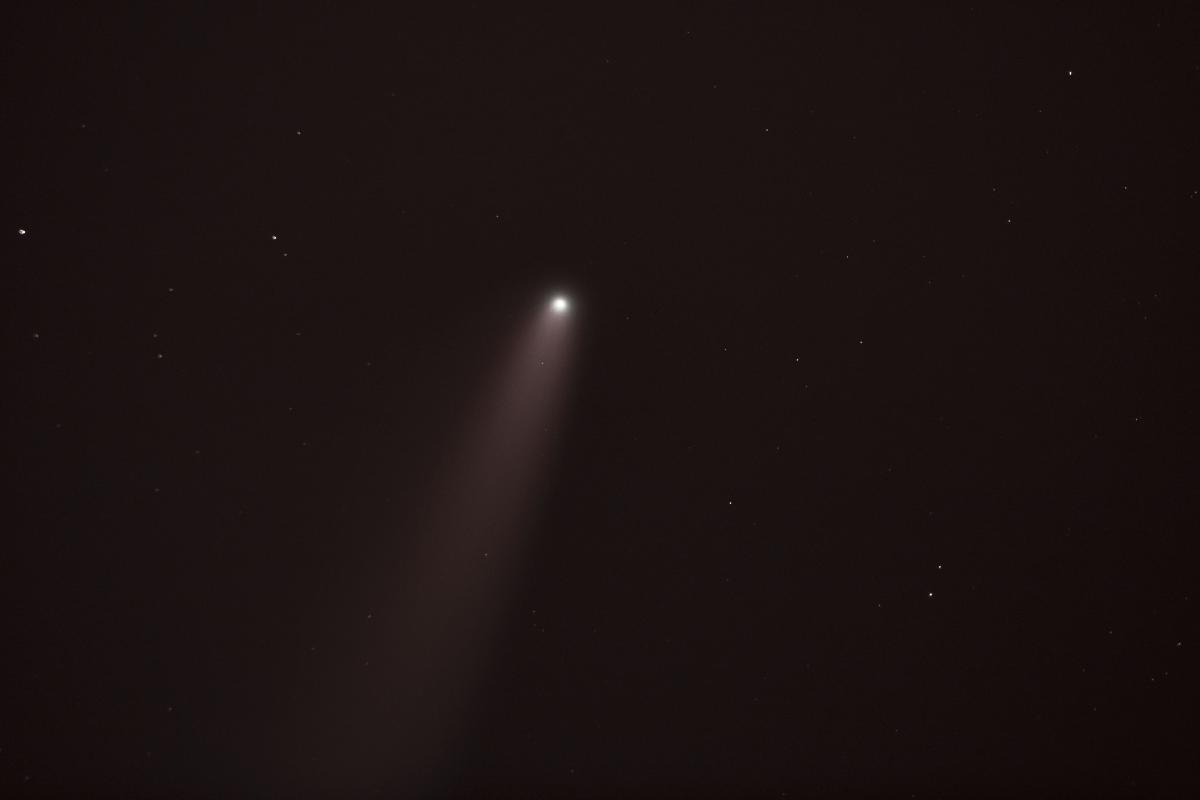 Neowise Neowise