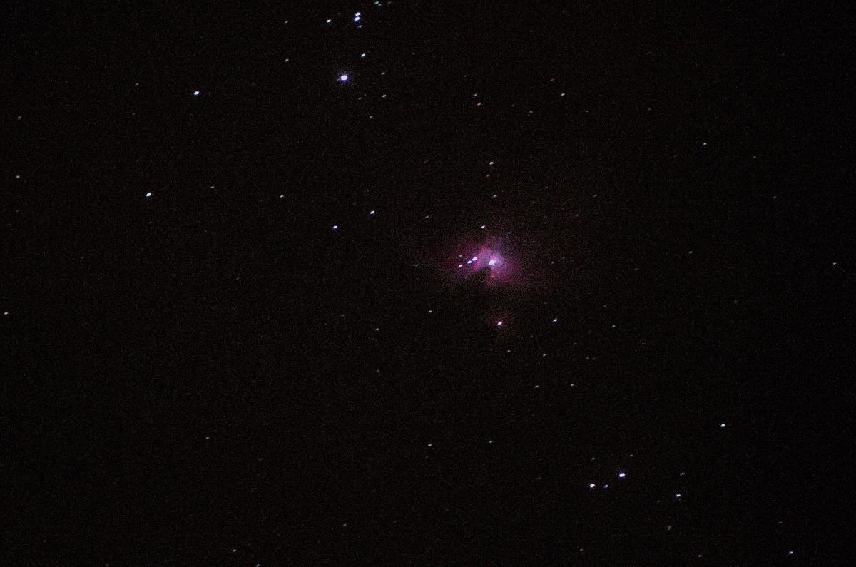 Orion Orion