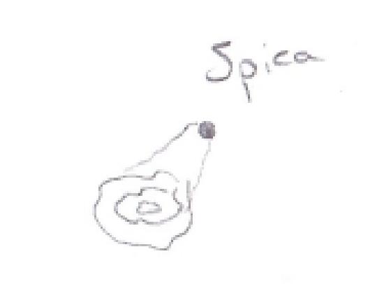 fig5 fig5