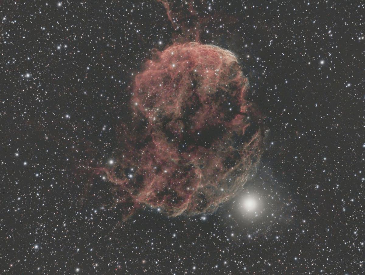 ic 443 ic 443