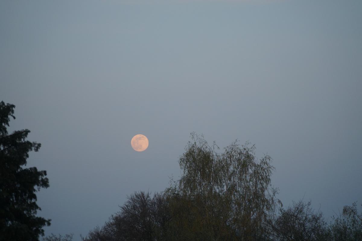 Lune Lune