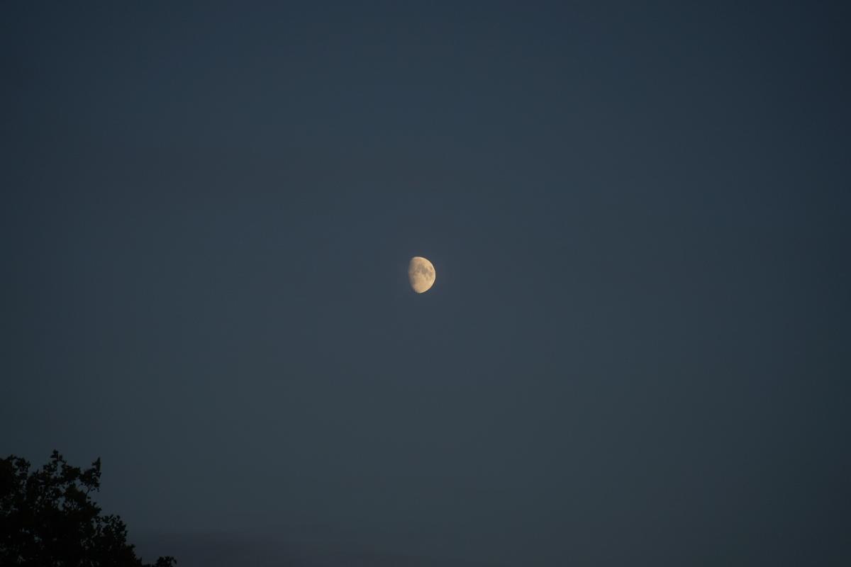 Lune Lune